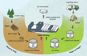 cardboard and paper recycling flow chart